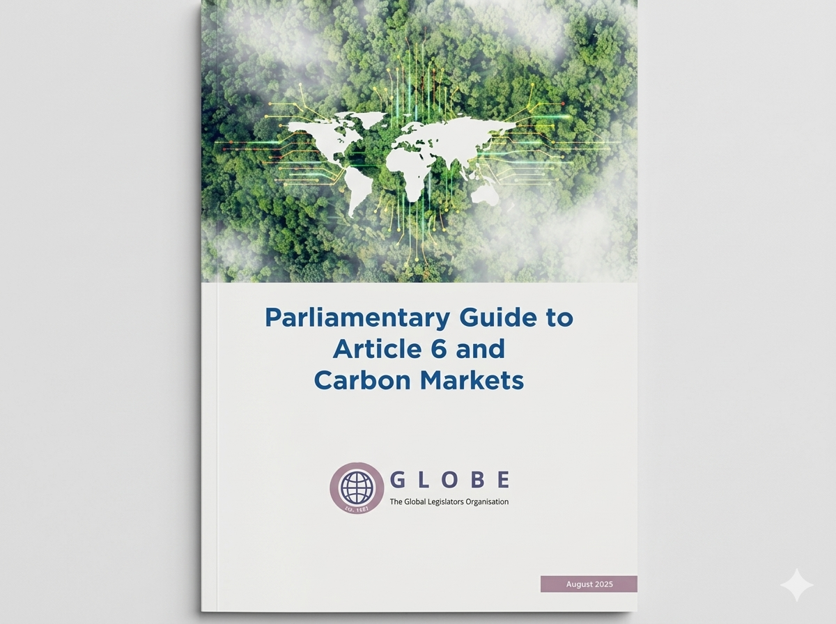Parliamentary Guide to Article 6 and Carbon Markets