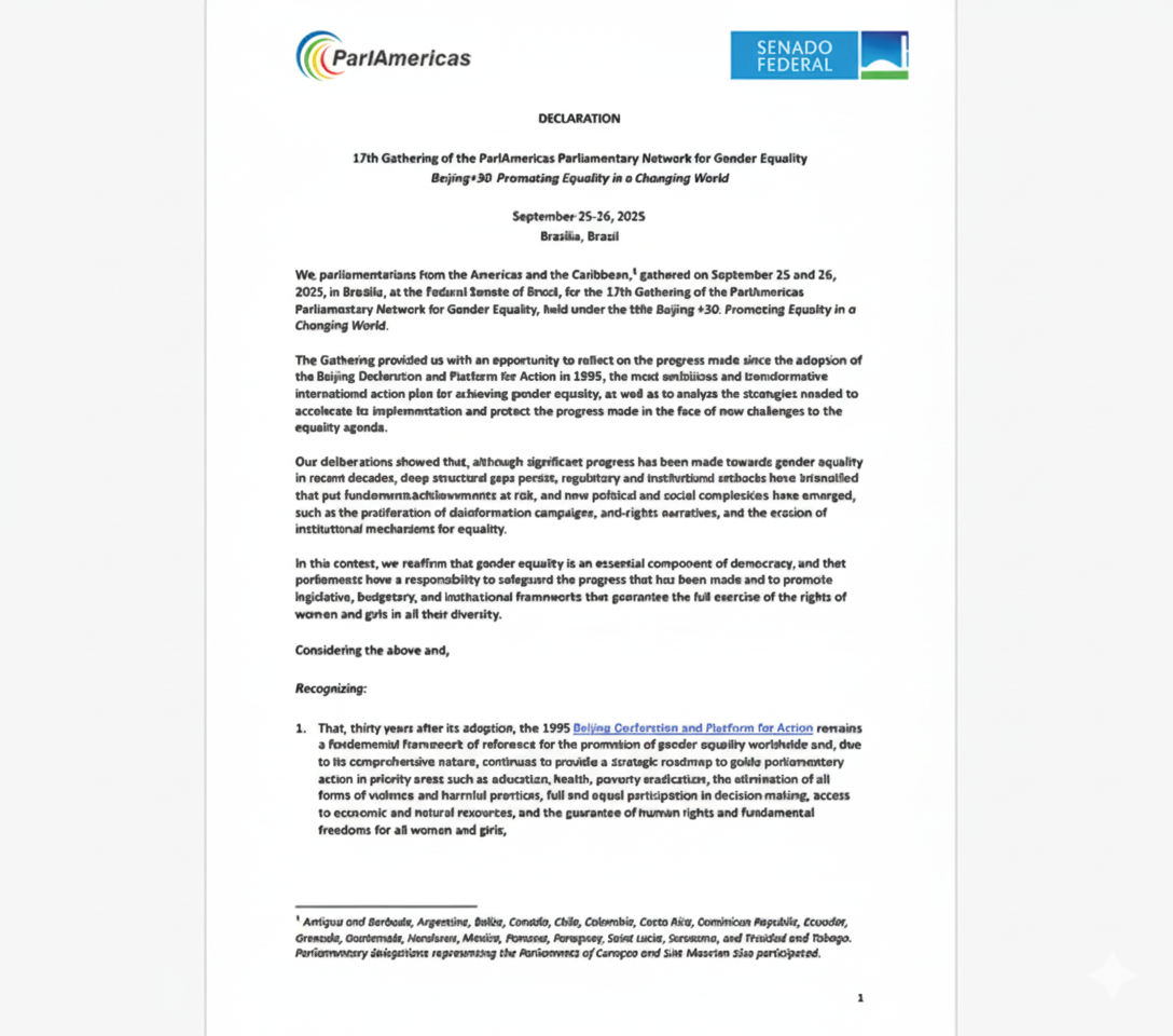 Declaration of 30th Anniversary of Bejing