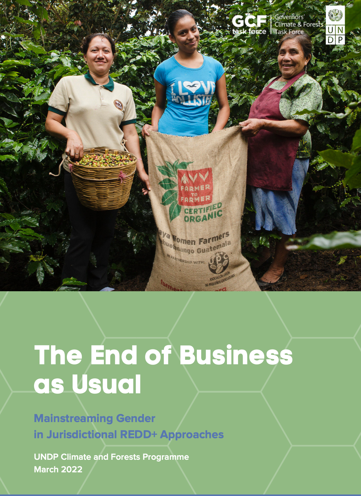 The End of Business as Usual: Mainstreaming Gender in Jurisdictional REDD+ Approaches