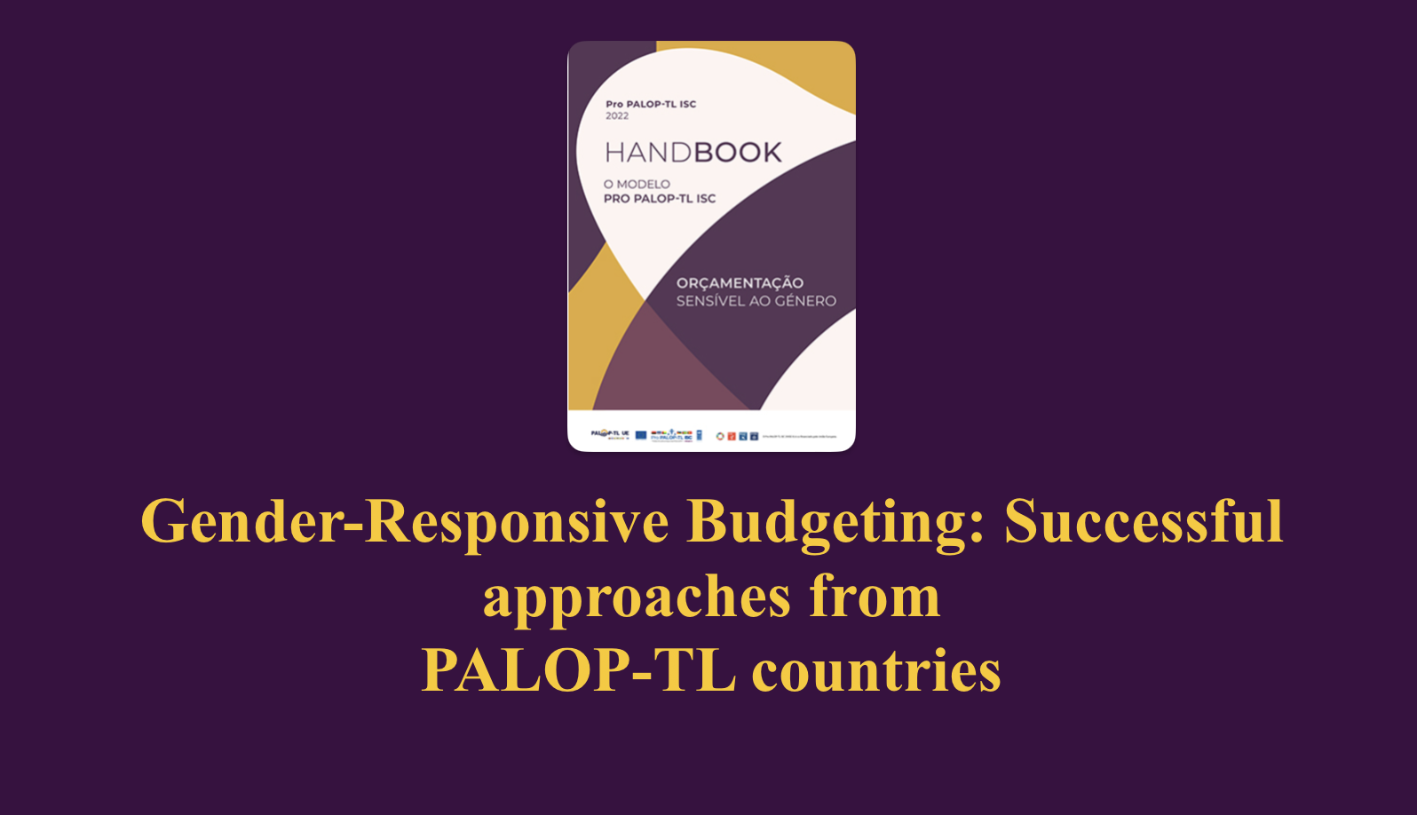 Gender-Responsive Budgeting: Successful approaches from PALOP-TL countries
