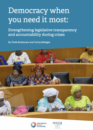 Democracy when you need it most: Strengthening legislative transparency and accountability during crises