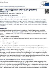 At a Glance: Strengthening parliamentary oversight of the executive