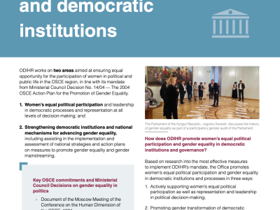 Promoting gender equality in politics and democratic institutions