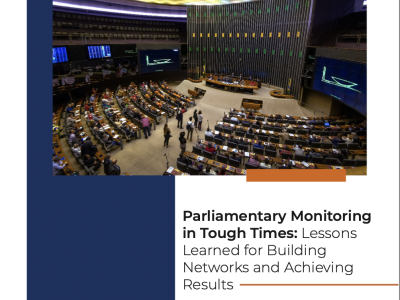 Parliamentary Monitoring in Tough Times: Lessons Learned for Building Networks and Achieving Results