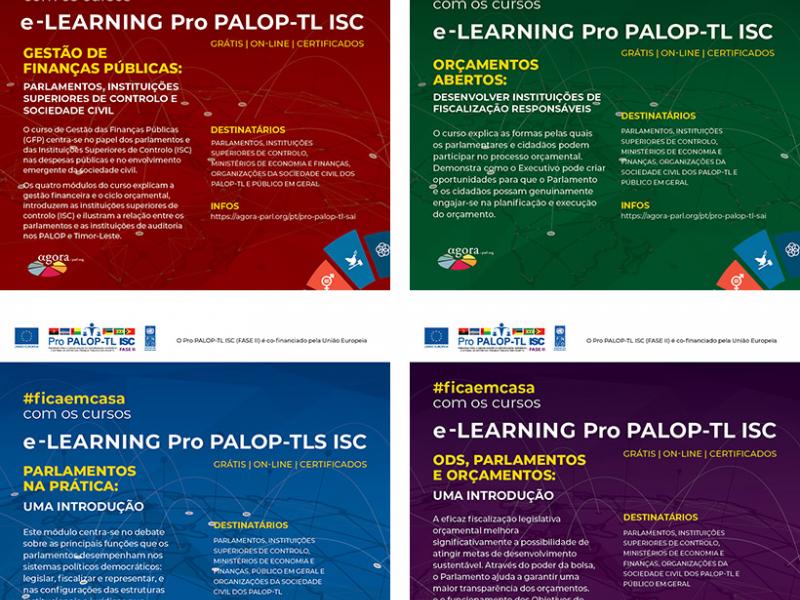 Cursos e-learning Pro PALOP-TL ISC 